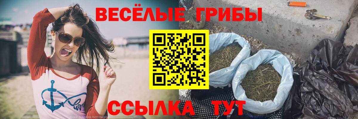 купить  сайты  Галлюциногенные грибы прущие грибы  Вход с VPN  Протвино 